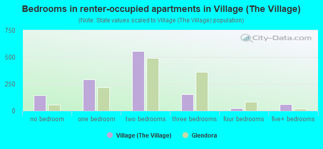 Bedrooms in renter-occupied apartments in Village (The Village)