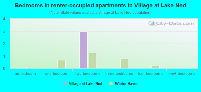 Bedrooms in renter-occupied apartments in Village at Lake Ned