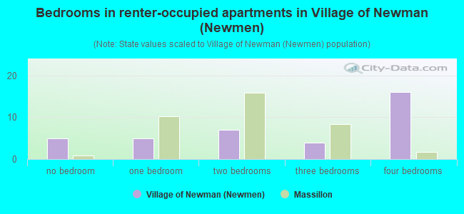 Bedrooms in renter-occupied apartments in Village of Newman (Newmen)