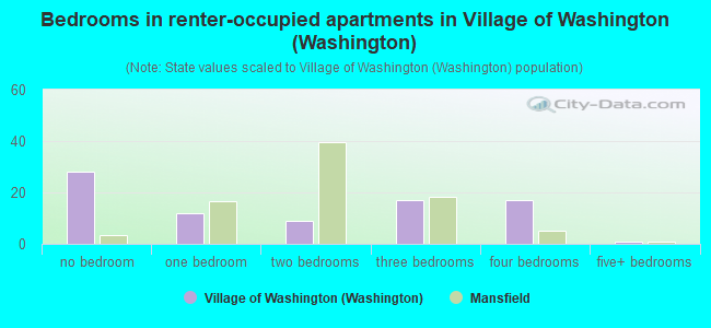 Bedrooms in renter-occupied apartments in Village of Washington (Washington)