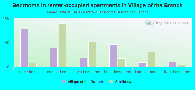 Bedrooms in renter-occupied apartments in Village of the Branch