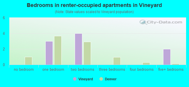 Bedrooms in renter-occupied apartments in Vineyard