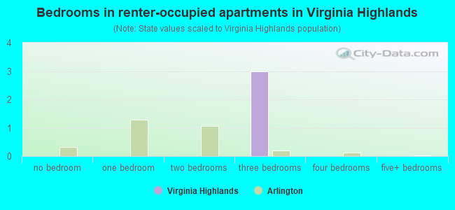 Bedrooms in renter-occupied apartments in Virginia Highlands