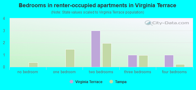 Bedrooms in renter-occupied apartments in Virginia Terrace