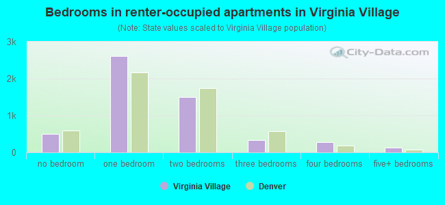 Bedrooms in renter-occupied apartments in Virginia Village
