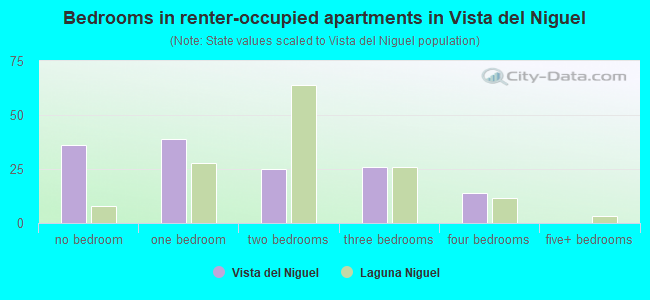 Bedrooms in renter-occupied apartments in Vista del Niguel