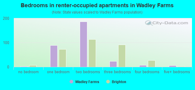 Bedrooms in renter-occupied apartments in Wadley Farms