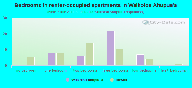 Bedrooms in renter-occupied apartments in Waikoloa Ahupua`a