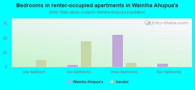 Bedrooms in renter-occupied apartments in Wainiha Ahupua`a