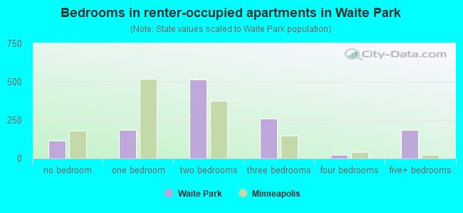 Bedrooms in renter-occupied apartments in Waite Park