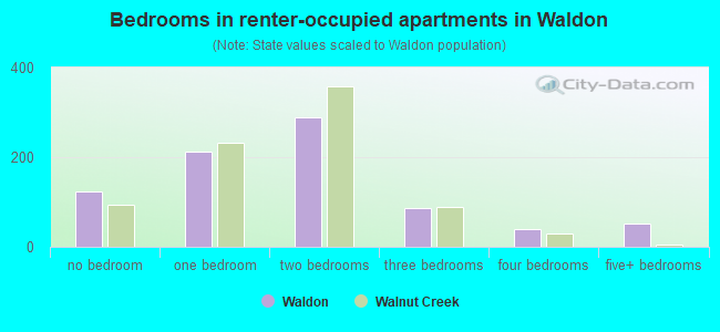 Bedrooms in renter-occupied apartments in Waldon