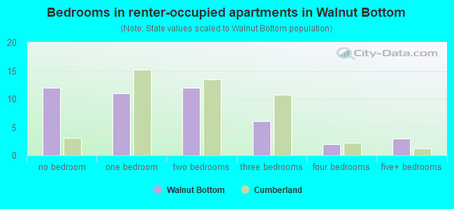 Bedrooms in renter-occupied apartments in Walnut Bottom