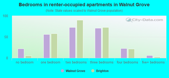 Bedrooms in renter-occupied apartments in Walnut Grove