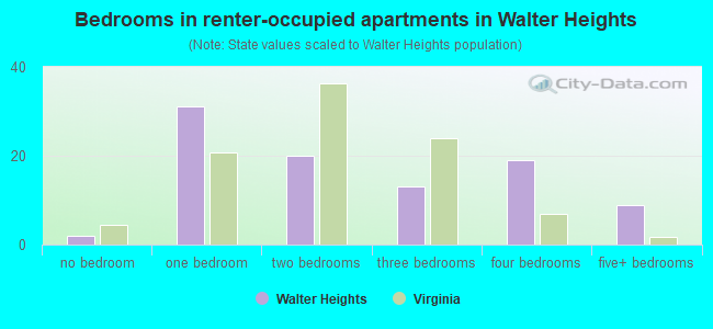 Bedrooms in renter-occupied apartments in Walter Heights
