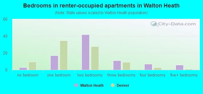 Bedrooms in renter-occupied apartments in Walton Heath