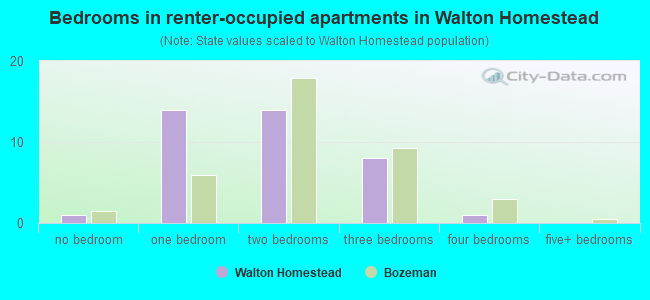 Bedrooms in renter-occupied apartments in Walton Homestead