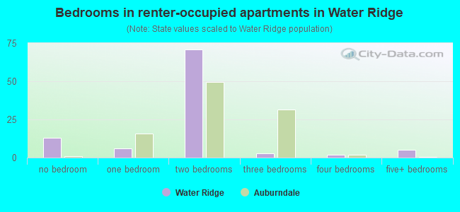 Bedrooms in renter-occupied apartments in Water Ridge