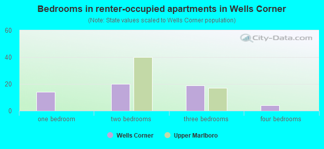 Bedrooms in renter-occupied apartments in Wells Corner