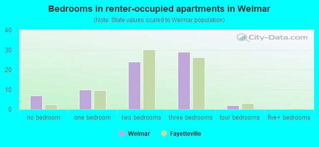 Bedrooms in renter-occupied apartments in Welmar