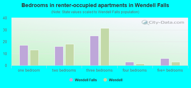 Bedrooms in renter-occupied apartments in Wendell Falls