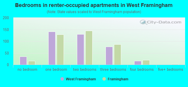 Bedrooms in renter-occupied apartments in West Framingham