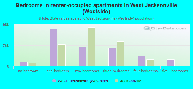 Bedrooms in renter-occupied apartments in West Jacksonville (Westside)