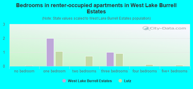 Bedrooms in renter-occupied apartments in West Lake Burrell Estates