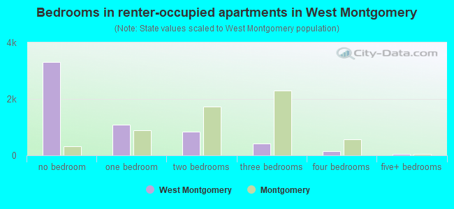 Bedrooms in renter-occupied apartments in West Montgomery