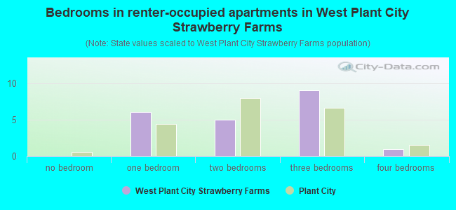 Bedrooms in renter-occupied apartments in West Plant City Strawberry Farms