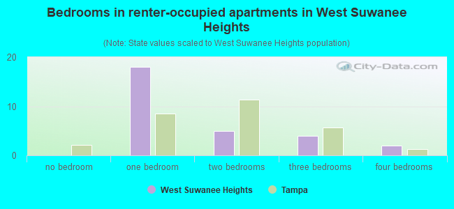 Bedrooms in renter-occupied apartments in West Suwanee Heights