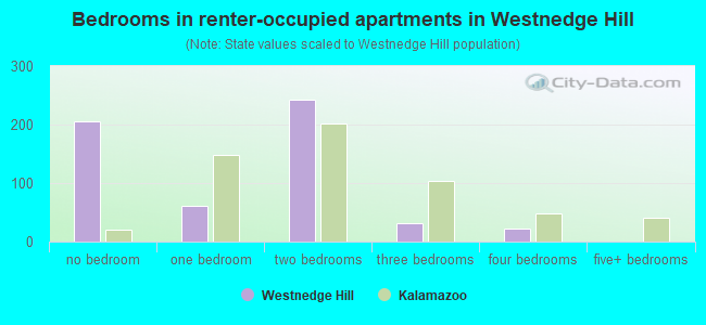 Bedrooms in renter-occupied apartments in Westnedge Hill