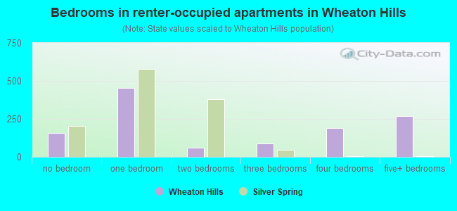 Bedrooms in renter-occupied apartments in Wheaton Hills