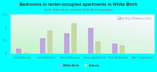 Bedrooms in renter-occupied apartments in White Birch