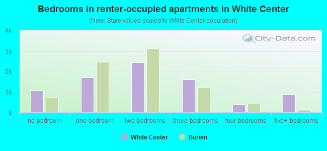 Bedrooms in renter-occupied apartments in White Center