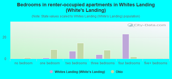 Bedrooms in renter-occupied apartments in Whites Landing (White's Landing)