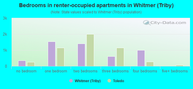 Bedrooms in renter-occupied apartments in Whitmer (Triby)