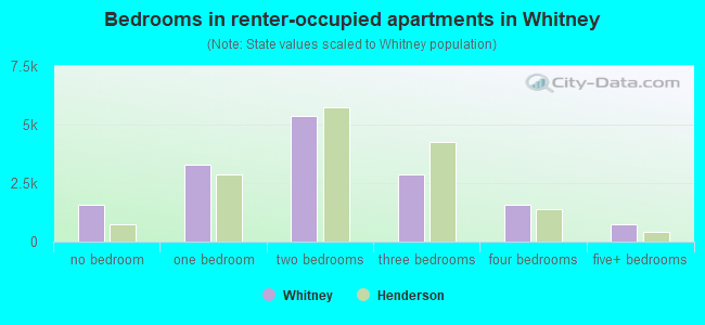 Bedrooms in renter-occupied apartments in Whitney