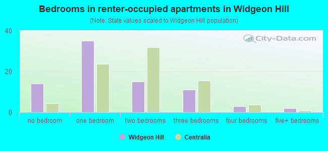 Bedrooms in renter-occupied apartments in Widgeon Hill