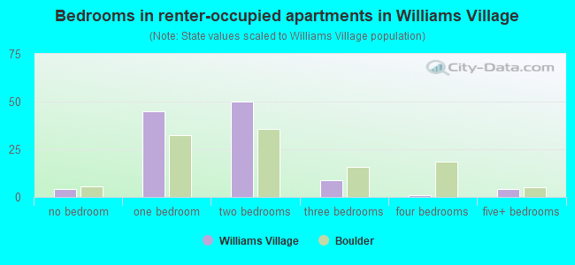 Bedrooms in renter-occupied apartments in Williams Village