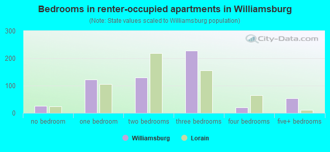 Bedrooms in renter-occupied apartments in Williamsburg