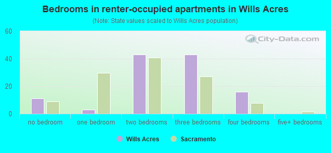 Bedrooms in renter-occupied apartments in Wills Acres