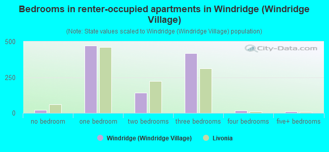 Bedrooms in renter-occupied apartments in Windridge (Windridge Village)