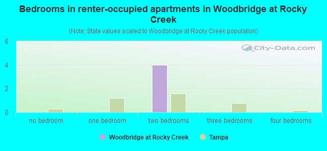 Bedrooms in renter-occupied apartments in Woodbridge at Rocky Creek