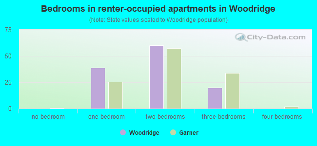 Bedrooms in renter-occupied apartments in Woodridge