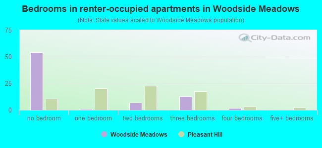 Bedrooms in renter-occupied apartments in Woodside Meadows