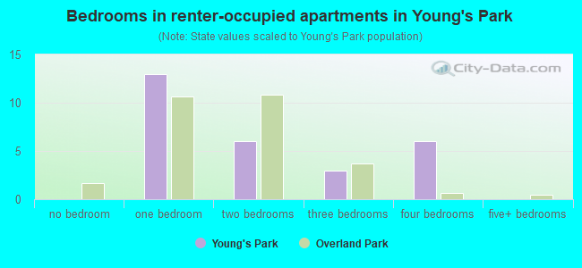 Bedrooms in renter-occupied apartments in Young's Park