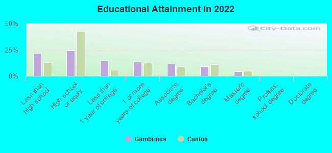 Educational Attainment in 2022