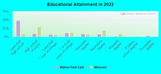 Educational Attainment in 2022