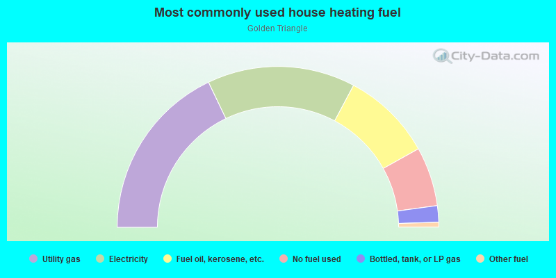 Most commonly used house heating fuel