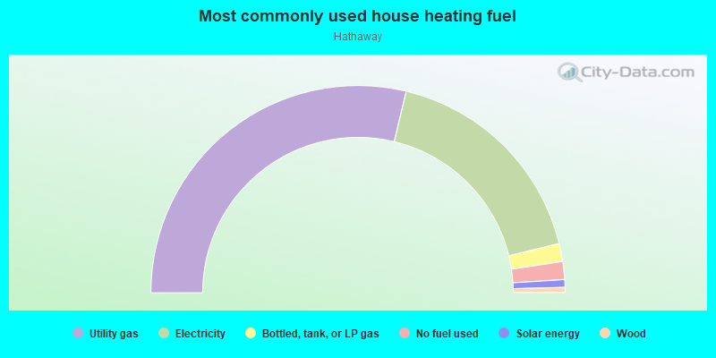 Most commonly used house heating fuel